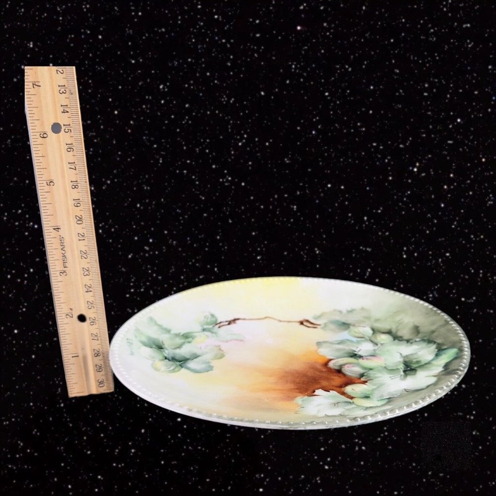J P L‎ France Limoges Hand Painted Plate Dish Beaded Edges JPL Signed E Carlson - Picture 4 of 10